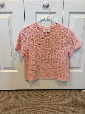 Audrey & Grace Soft Blush Openwork Short Sleeve Knit Top